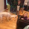 Luna at her new home Dec 2018
