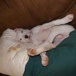 Baby Rosie